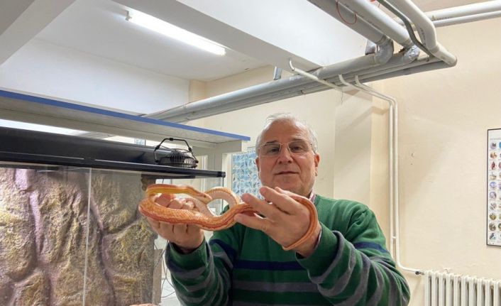 Yılan Müzesi, 185 sürüngen türüyle eğitim ve araştırma merkezine dönüştü