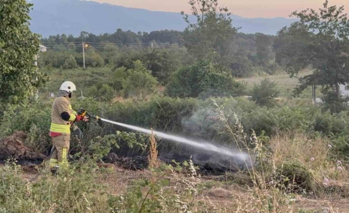 Yol kenarına atılan izmarit, otları yaktı