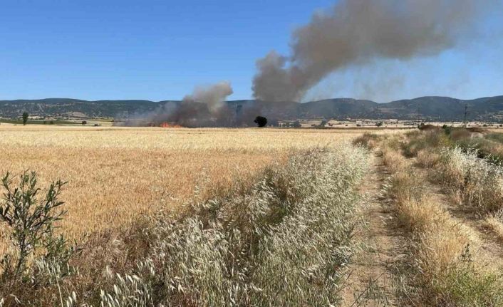 Yozgat’ta 20 dönüm ekili alan kül oldu