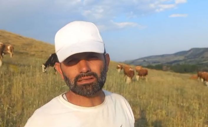 Yozgat’ta keneler görülmeye devam ediyor