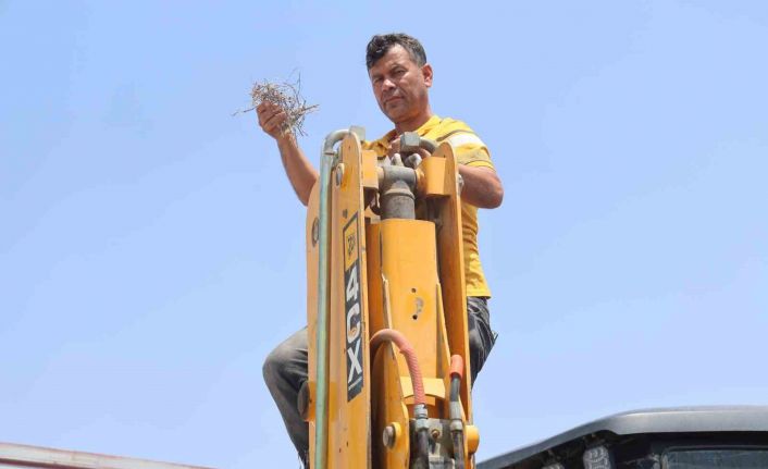 Yuva bozulmasın diye kepçesine kontak vurmayan operatörün yüzü 27 gün sonra kumru yavrularının uçup gitmesiyle güldü