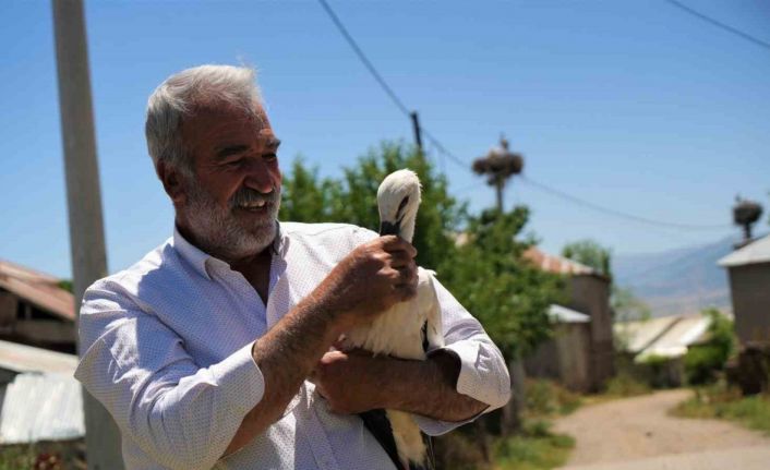 Yuvadan düşen leylek yavrusu koruma altına alındı