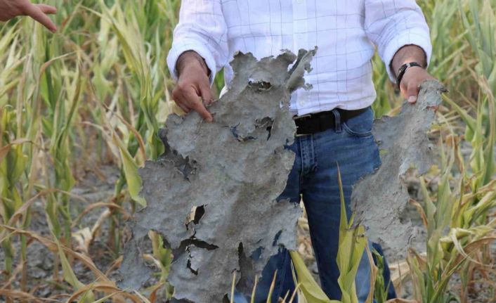 1.6 milyon cezaya çaptırılan Denizli DESKİ günün belli saatlerinde çiftçiye arıtılmamış su vermiş