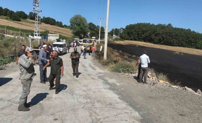 1 yıllık emek kül oldu, orman son anda kurtarıldı