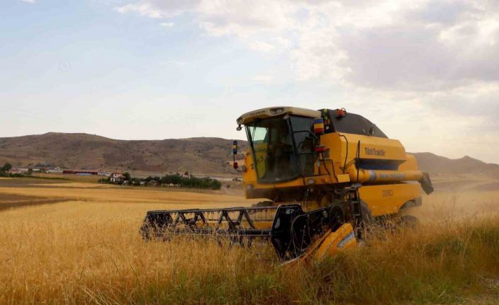 2.5 milyon dekar alanda ekildi, 800 bin ton ürün bekleniyor