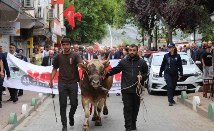 44. Kafkasör Festivali boğalı kortej yürüyüşüyle başladı