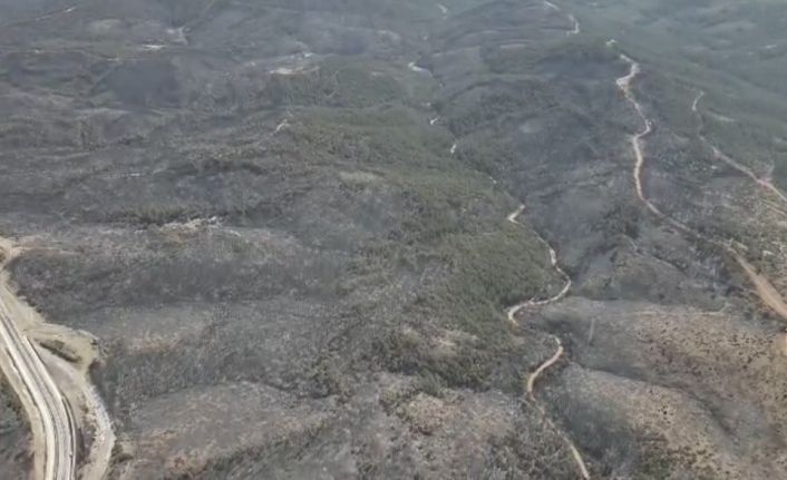 5 gün sonra kontrol altına alınan yangından geriye yürek burkan görüntüler kaldı