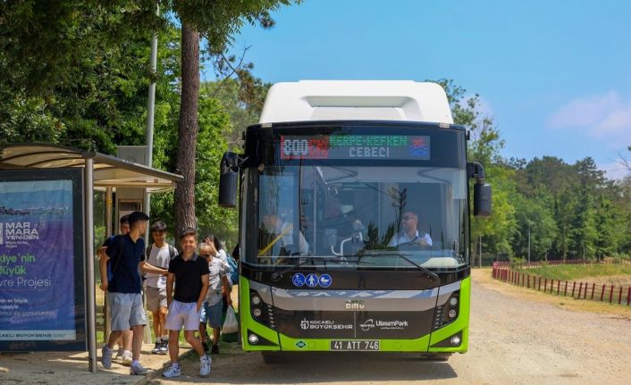 800CK, 1 ayda 46 bin vatandaşı sahillere taşıdı