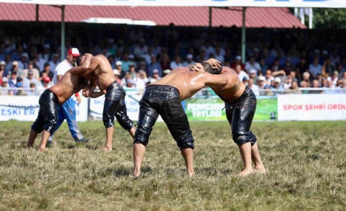 917 yıllık geleneğin adı: Aybastı Perşembe Yaylası Festivali