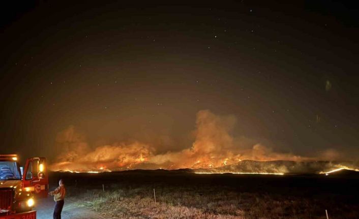 ABD’de orman yangını: 52 bin dönümden fazla alan kül oldu