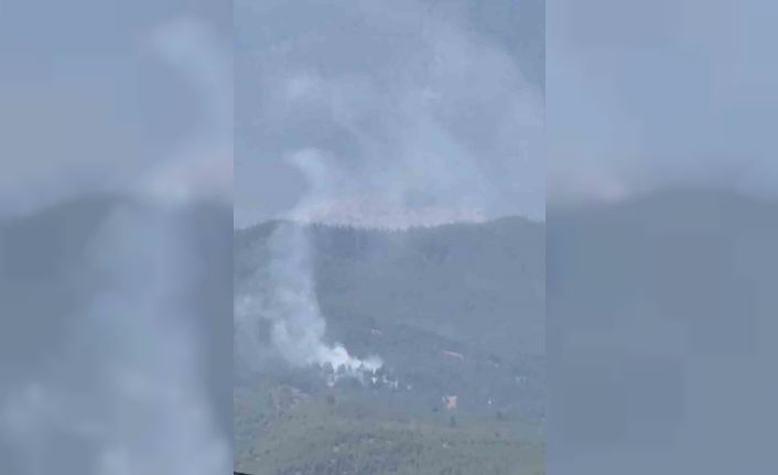 Adana Aladağ’da orman yangını çıktı