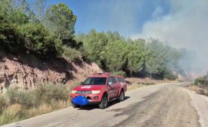 Adana’da orman yangını