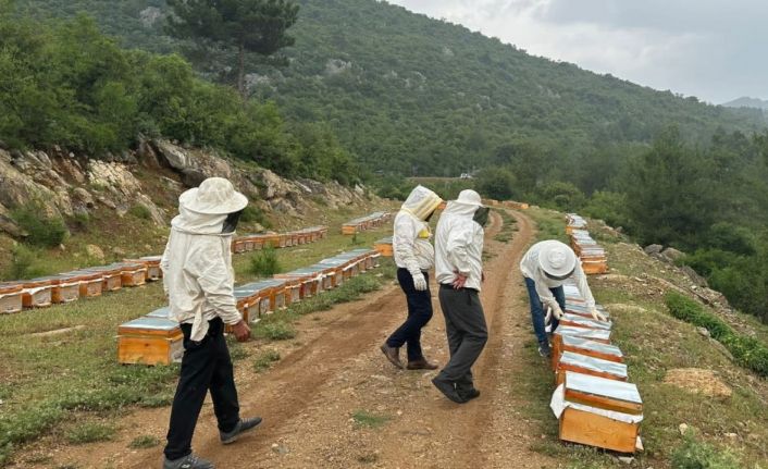 Adıyamanlı arıcılar, 2025 yılı bal fiyatlarını açıkladı