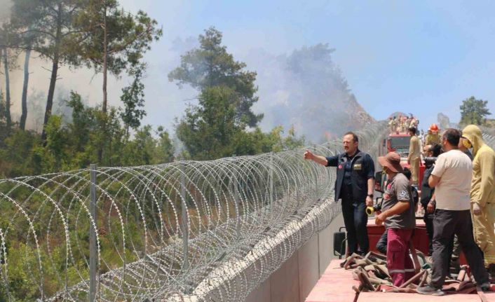 AFAD: "(Hatay Yayladağı) Yangınlara; 734 personel, 7 uçak, 14 helikopter, 215 araç ile müdahale edilmektedir"