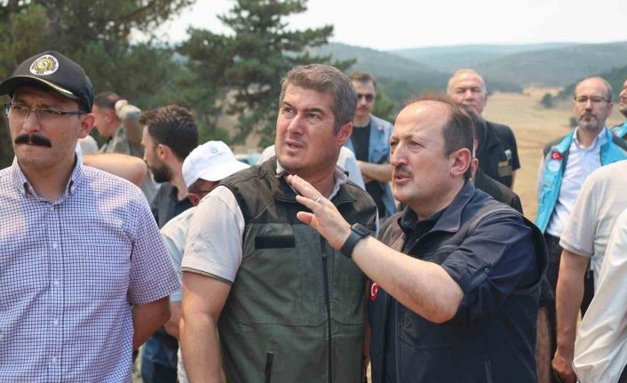 AFAD: "Yangınlara karşı mücadele kapsamında 4 bin 231 personel, 45 hava aracı ve bin 236 kara aracı görev yapmaktadır"