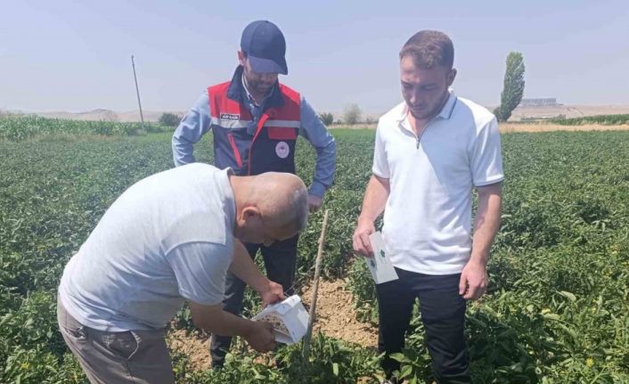 Afyonkarahisar’da bitki sağlığı faaliyetleri devam ediyor