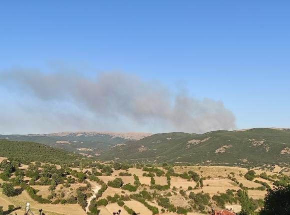 Afyonkarahisar’da orman yangını