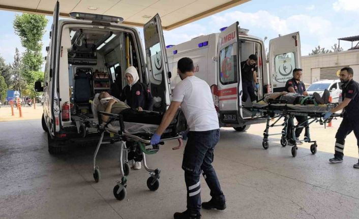 Ağaca çarpan otomobildeki 2 kişi yaralandı