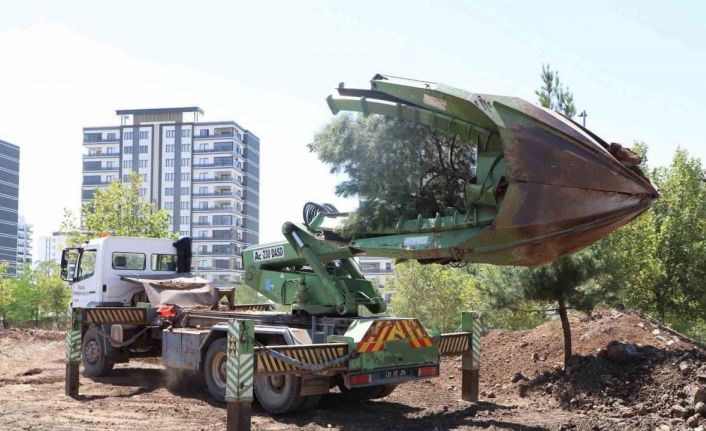 Ağaçlar zarar verilmeden ormanlık alana taşındı