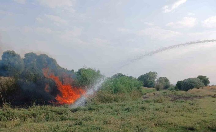 Ağaçlık alanda çıkan yangın itfaiye ekiplerince söndürüldü