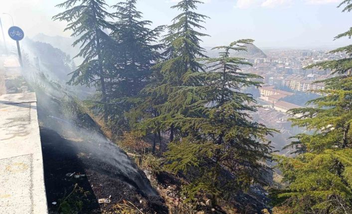 Ağaçlık alandaki yangın paniğe neden oldu