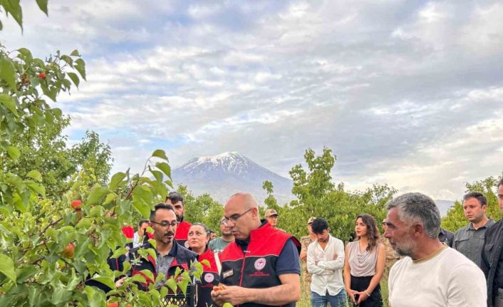 Ağrı Valisi Koç, Doğubayazıt’ta bir dizi incelemelerde bulundu