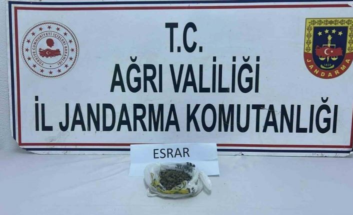Ağrı’da uyuşturucu operasyonu: 511 kök kenevir ve 50 gram esrar ele geçirildi