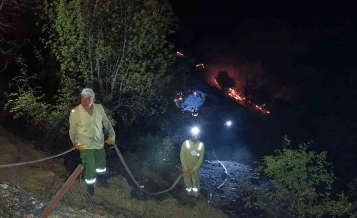 Ahır ve samanlıkta çıkan yangın ormanlık alana sıçradı, müdahale sürüyor