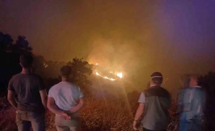 Ahmetli’de çıkan orman yangını Salihli’ye ulaştı