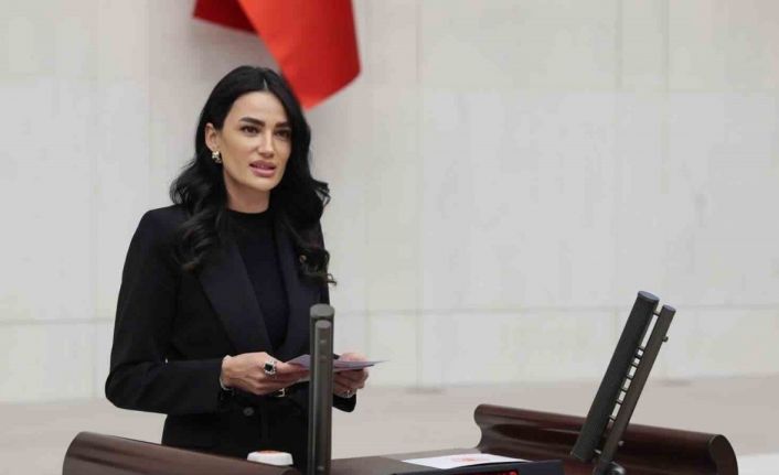 AK Parti Aydın Milletvekili Sarıbaş: "Gazetecilerimiz halkımızın sesi olmuştur"