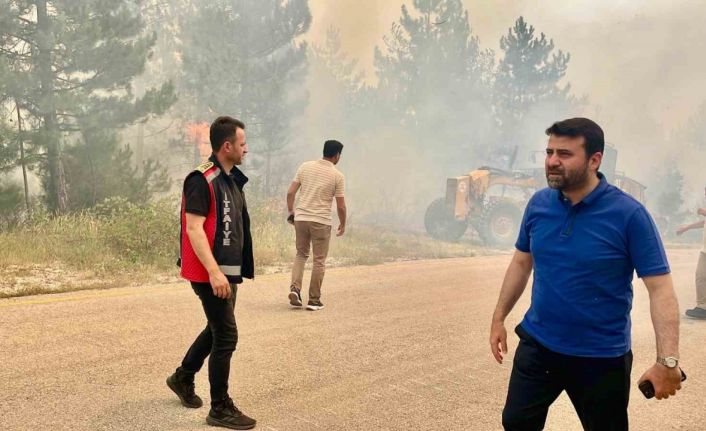 AK Parti Karabük Milletvekili Şahin "Bu, Karabük tarihinin en büyük yangını"