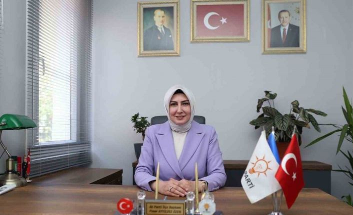 AK Partili Özen: "Çeşme’ye Karareis’ten su verilebilir"