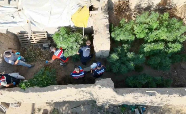 Aksaray’da dron destekli uyuşturucu operasyonu: 1 tutuklama