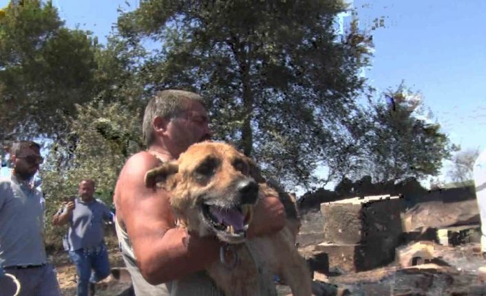 Aksu’da yürek yakan yangında evler hasar gördü, hayvanlar telef oldu