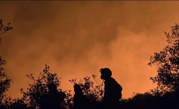 AKUT Eskişehir ekibi yanmak üzere olan hayvanları kurtardı