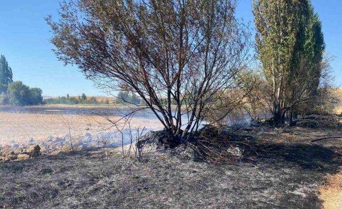 Alaca’da anız yangını: 5 dönüm arazi zarar gördü