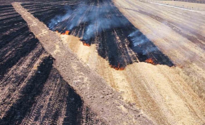 Alaca’da anız yangını: 70 dönüm arazi kül oldu