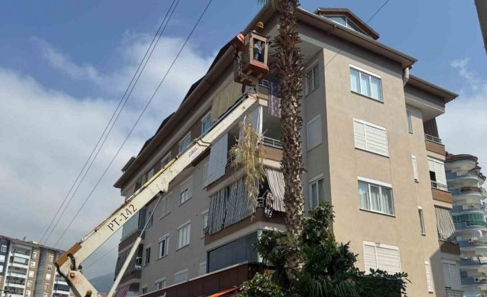 Alanya Belediyesi ve AEDAŞ’dan yangın riskine karşı önlem