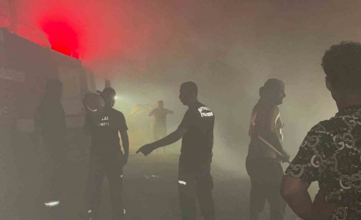 Alanya’da orman yangınında 3 hektarlık alan zarar gördü