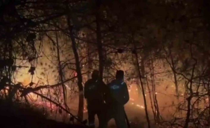 Alev çemberinin içinden geçtiler: Nefes kesen o anlar kamerada
