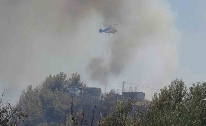 Alevler bir anda evinin yanına geldi, yaşlı adam kabusu yaşadı