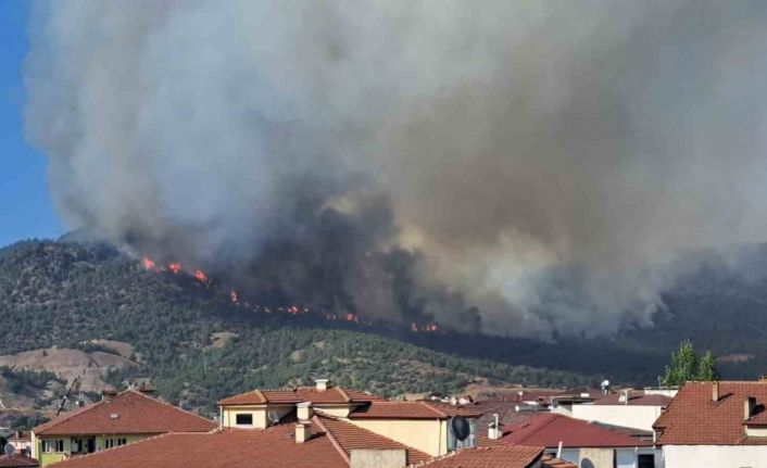 Alevler YHT besleme trafosuna yaklaşınca tedbir alındı