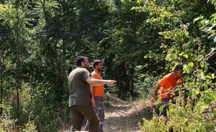 Alevlerin sardığı orman yangınlarında can dostları için harekete geçtiler