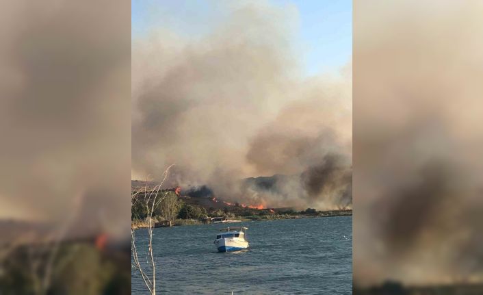 Aliağa’da otluk alanda yangın