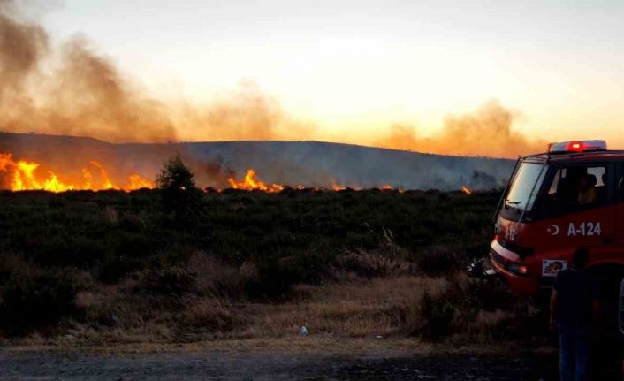Aliağa’da otluk alandaki yangın kontrol altına alındı
