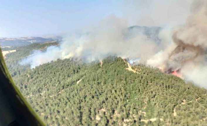 Altıeylül’de orman yangını