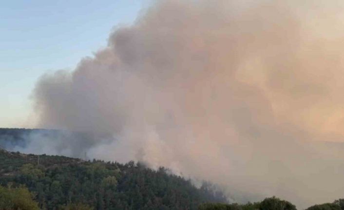 Altıeylül’deki orman yangınına müdahale sürüyor
