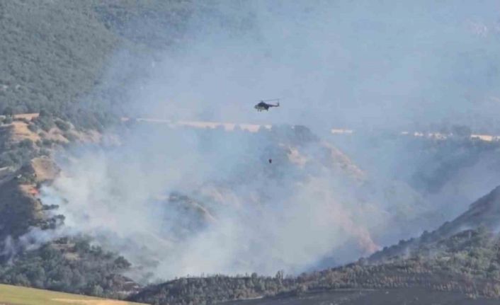 Amasya’da orman yangını: 50 dönüm orman, 150 dönüm tarım arazisi zarar gördü