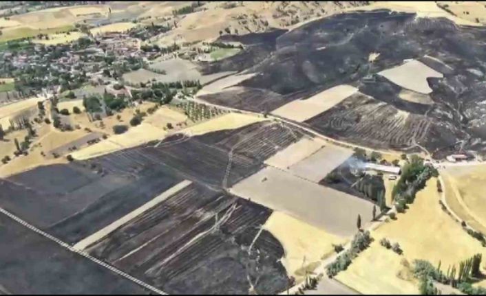 Amasya’da yanan 500 dönümlük alan havadan görüntülendi