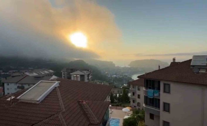 Aniden ortaya çıktı, korkulu anlara neden oldu